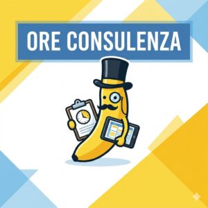 Ore consulenza